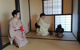 Tea Museum en Shizouka