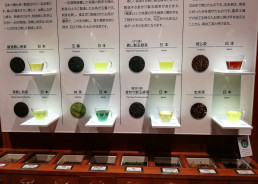 Elementos expositivos sobre el té