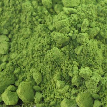 Matcha Japonés Bío