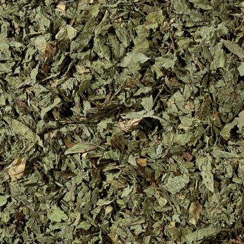 Menta Poleo