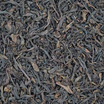 Oolong Bío