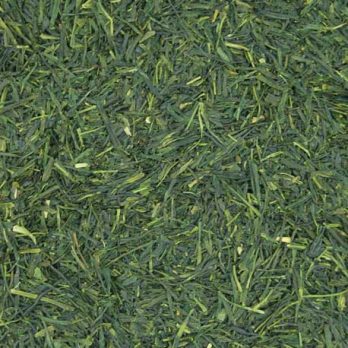 Sencha Japonés Uchiyama Bío